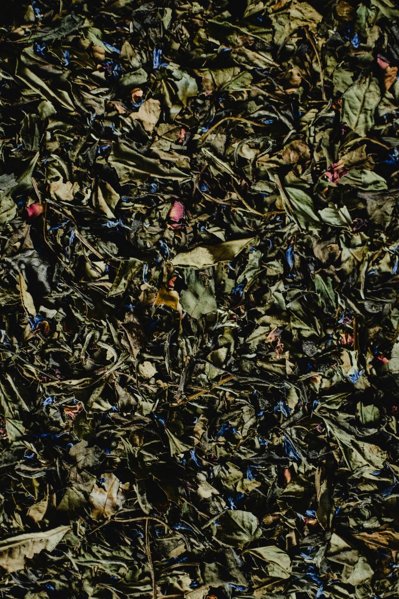 Greek Olive Leaf Tea